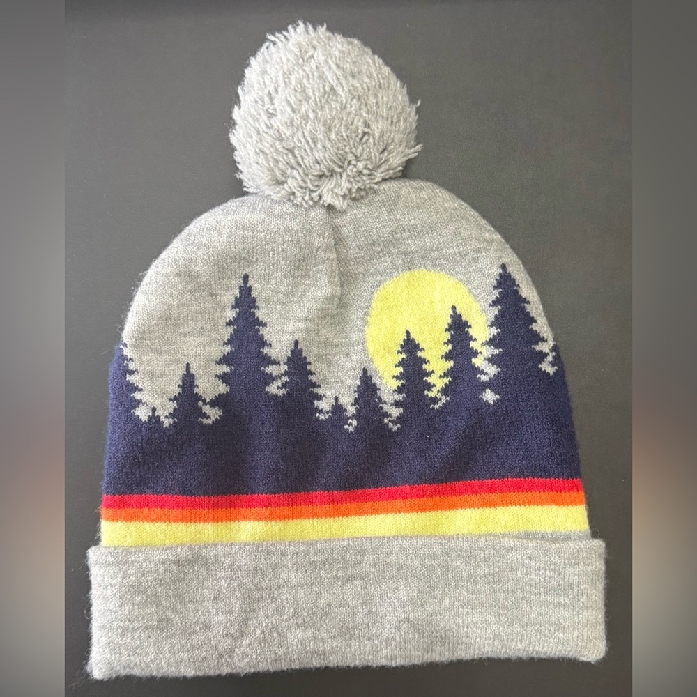 Target Kids Gray and Navy Forest Beanie with Pom Pom